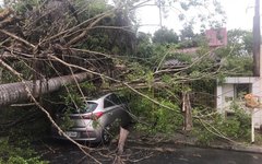 Ocorrência no Condomínio Jardim Petrópolis