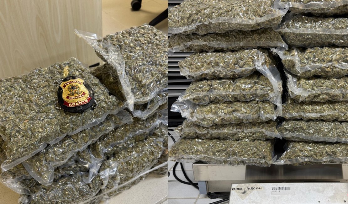 PF investiga rede que tentou contrabandear drogas via Aeroporto Zumbi dos Palmares