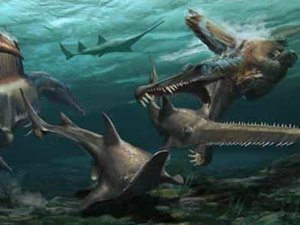 Pesquisadores brasileiros apresentam fóssil de lagostim da Antártica