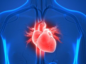 Mortes cardíacas sem causas definidas aumentam 45% no Estado em 2020