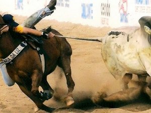 Após STF considerar vaquejada ilegal, AVAQ recorre e recebe notícia com 'estranheza'