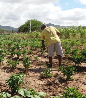 Agricultura informa sobre prorrogação do prazo para inscrição no Garantia-Safra 2024/2025