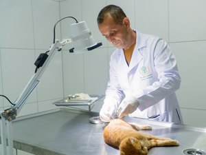 [Vídeo] Japaratinga abre portas da Sala de Castração de Animais