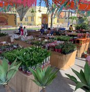Feira de Flores Holambra chega a Arapiraca com plantas a partir de R$ 5
