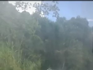 Caminhão carregado de lixo tomba na AL 105