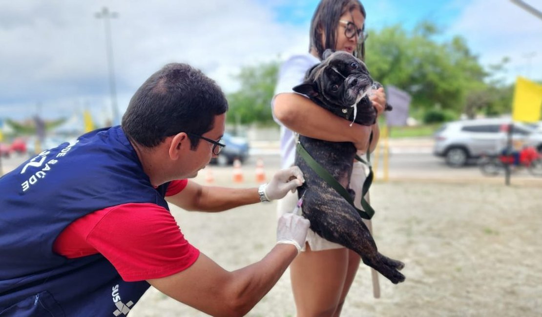 Mutirão de vacinação antirrábica acontece neste sábado (27), em Arapiraca