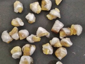 Homem é flagrado com 151 pedras de crack no bairro Alto do Cruzeiro em Palmeira