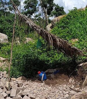 Ação conjunta apreende espingardas e resgata pássaros silvestres no interior de Alagoas