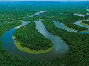 Amazônia perde proteção e ambientalistas acusam Temer e agronegócio