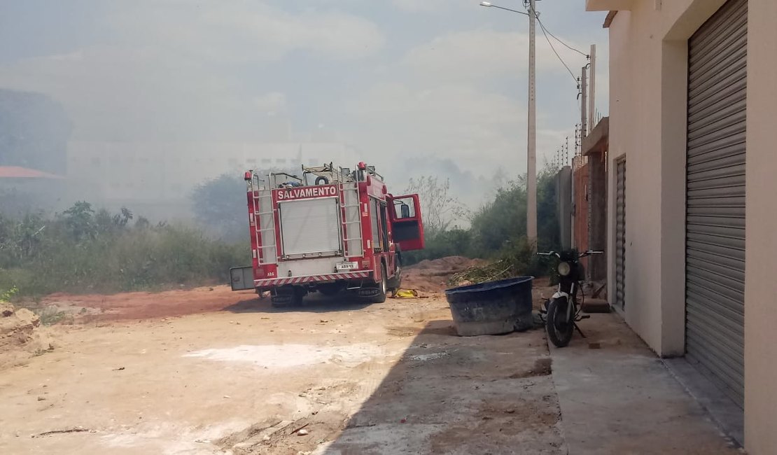 Bombeiros controlam incêndio em vegetação em Arapiraca
