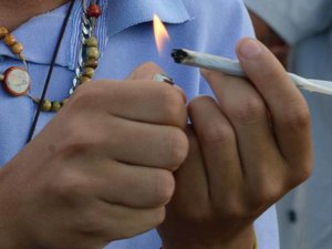 Fiocruz: 7,7% dos brasileiros usaram maconha pelo menos uma vez