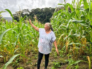 Safra boa: Agricultora comemora colheita de milho verde com sementes doadas pelo Planta Alagoas