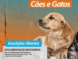 Cães e gatos serão castrados pelo Complexo Multidisciplinar Tarcizo Freire