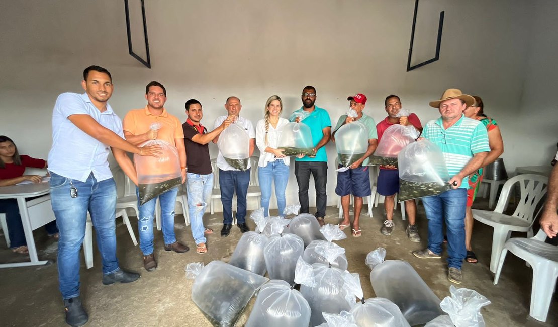 Prefeita Ceci Rocha distribui mais de 20 mil alevinos e fortalece psicultura no distrito Ouricuri
