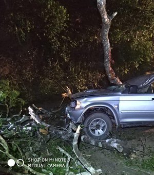 [Vídeo] Carro colide em árvore caída e deixa quatro feridos na BR-104