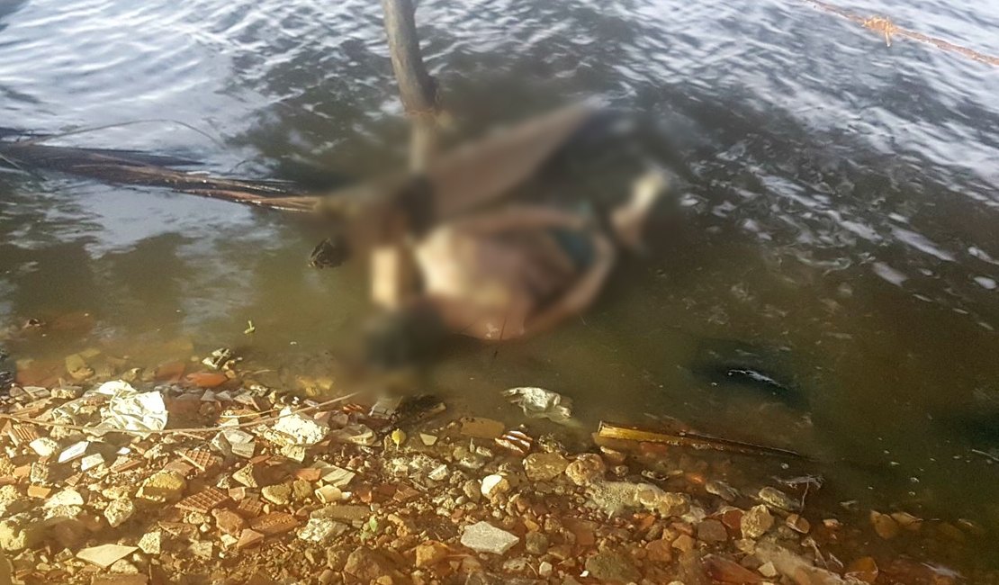 Cadáver é encontrado amarrado às margens da lagoa Mundaú