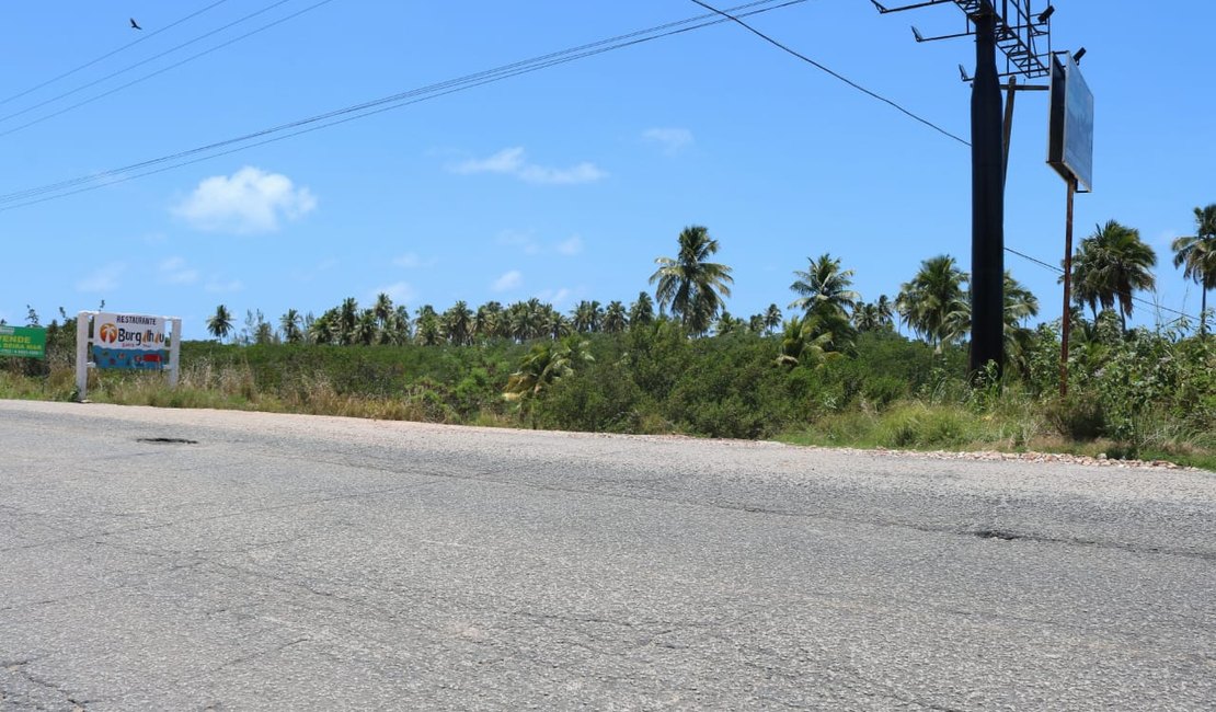 Equatorial informa que queda de árvore causou falta de energia em Maragogi