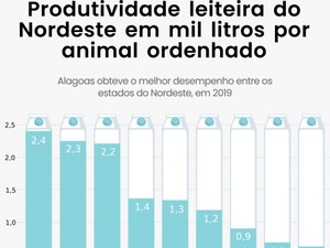 Alagoas supera média nacional e tem a maior produtividade leiteira do Nordeste