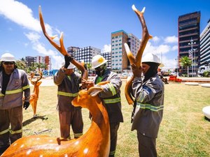 Ornamentação natalina é alvo de vandalismo na antiga Praça Multieventos
