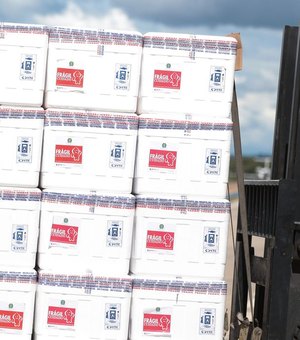 Sem carnaval, Ambev doa cinco mil caixas térmicas para transporte de vacinas