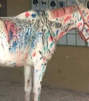 Crianças pintam e rabiscam cavalo em atividade na Hípica de Brasília