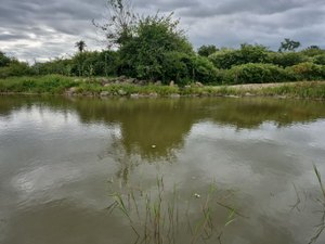 FPI do São Francisco visita possível sítio paleontológico em comunidade quilombola em Carneiros