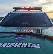 Polícia apreende armas de fogo, animais silvestres e redes de pesca predatória