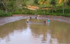 Pescado foi cultivado em açudes de Maragogi