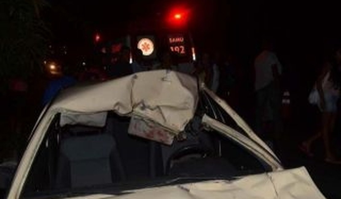 Animal provoca acidente em trecho da BR-101 em Joaquim Gomes