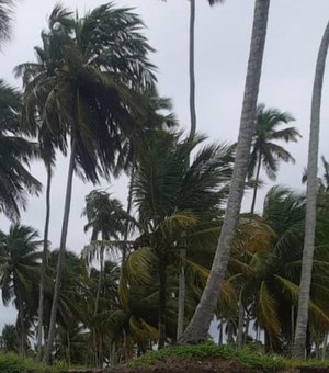 Defesa Civil de Alagoas reforça alerta de ventos fortes para os próximos dias