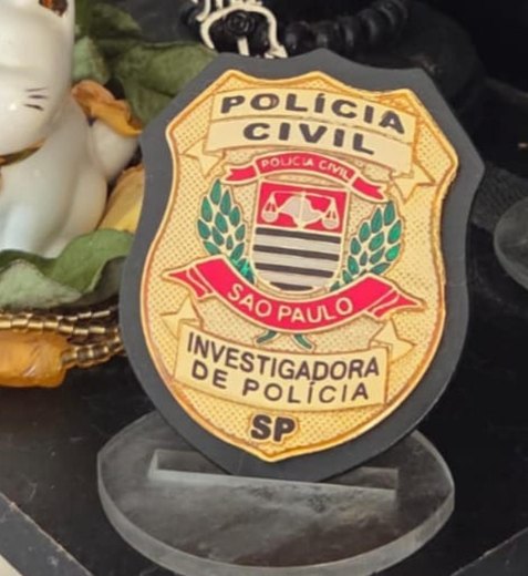 Mulher é presa por falsificar decisão judicial para obter distintivos policiais