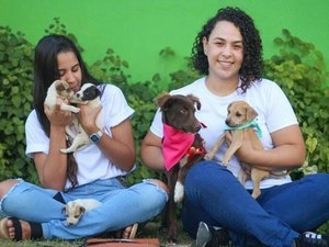 Projeto Adote Patinhas de Palmeira dos índios ganha destaque e pede doações