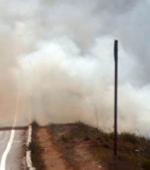 Incêndio em vegetação provoca interdição da BR-316, em Pilar