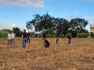 [Vídeo] Grupo de pesquisa de Agronomia da Ufal Arapiraca realiza experimentos com agricultura conservacionista