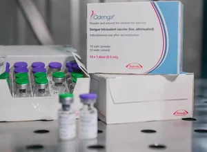 Fiocruz oficializa pedido para produzir vacina contra dengue no Brasil
