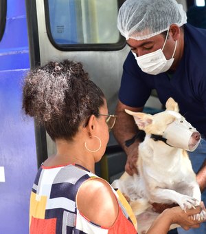 CastraPet abre novo cadastro para esterilização de cães e gatos em Penedo