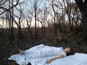 Exposição inspirada no Cerrado Mineiro chega ao Sesc Arapiraca