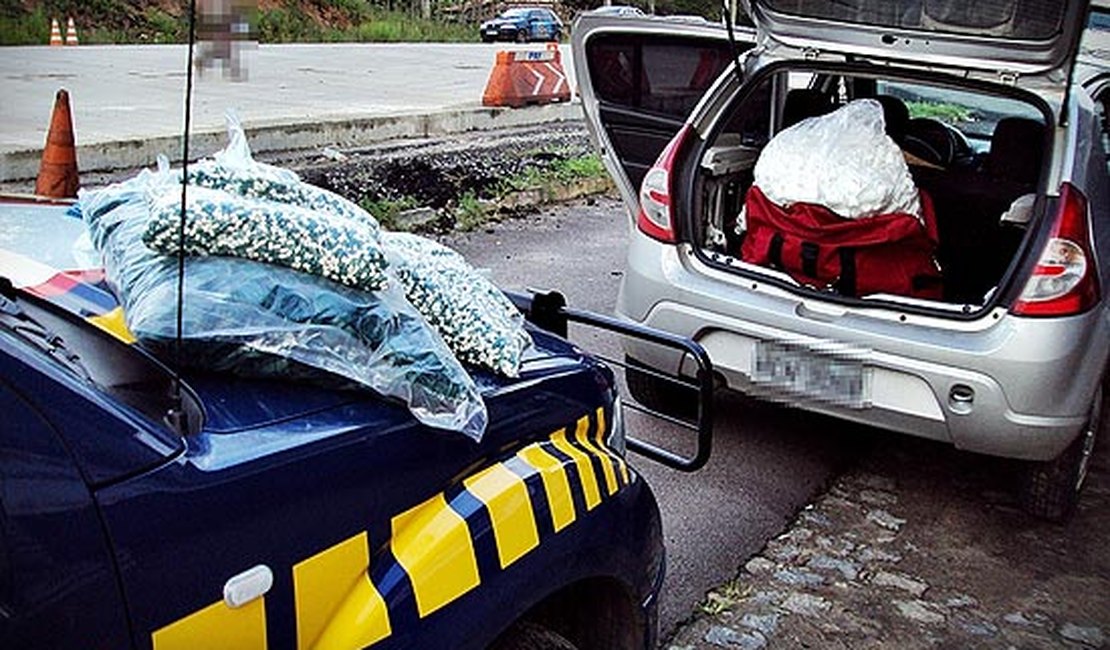Polícia apreende 40 mil comprimidos de anfetamina em Sergipe