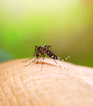 Mobilização nacional de prevenção à dengue acontece neste sábado (14)