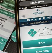 Pix é o sistema de pagamentos instantâneos com adesão mais rápida no mundo, diz BC