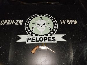 Idoso é preso por posse ilegal de arma de fogo em Flexeiras