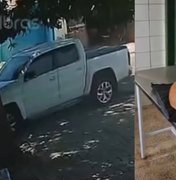 Cachorrinha fica paraplégica após ser atropelada por motorista de Hilux no Feitosa; suspeito foi identificado