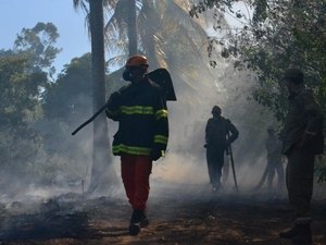 Corpo de Bombeiros registra catorze incêndios durante feriadão