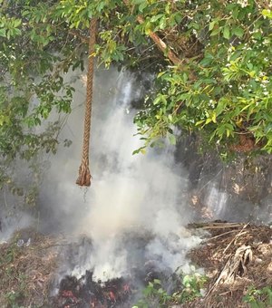 Polícia Militar registra ocorrência de incêndio em área de preservação em Fernão Velho