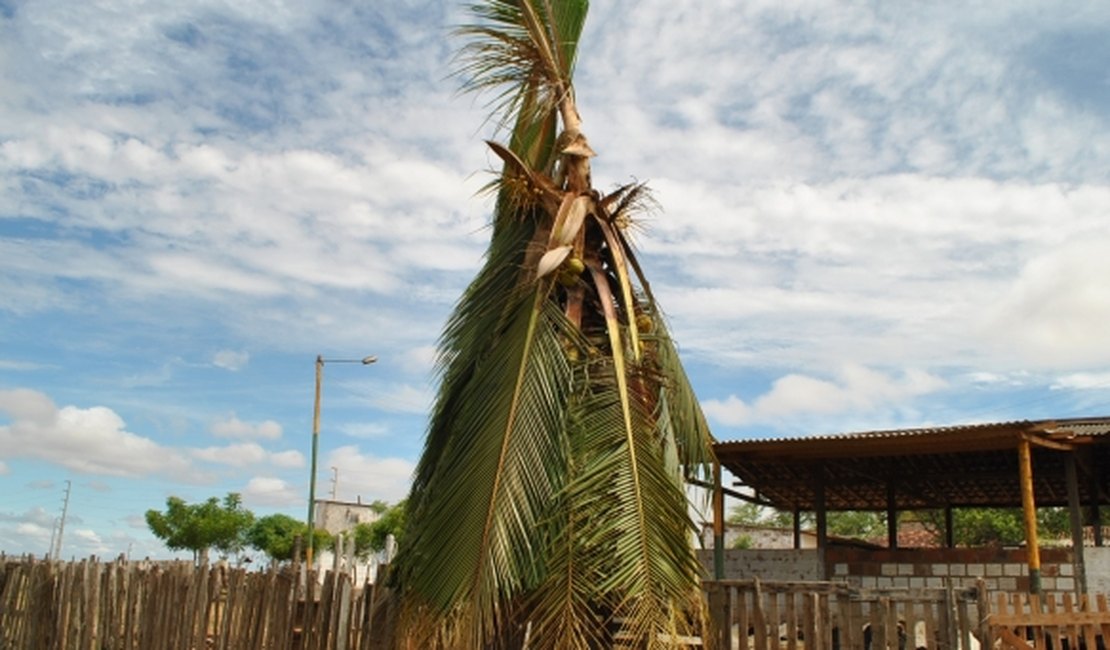 Raio atinge coqueiro e piscina em Arapiraca
