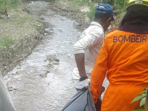 Corpo de mulher é encontrado esquartejado em cova rasa 