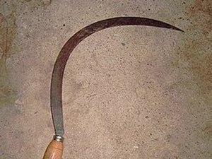 Homem é ferido com golpe de foice após discussão sobre maus-tratos a cachorro em Rio Largo