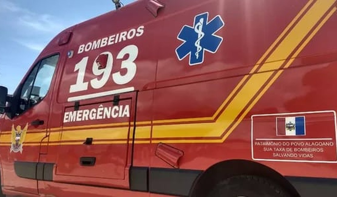 Corpo de Bombeiros resgata cachorro que caiu em fossa desativada em Maceió