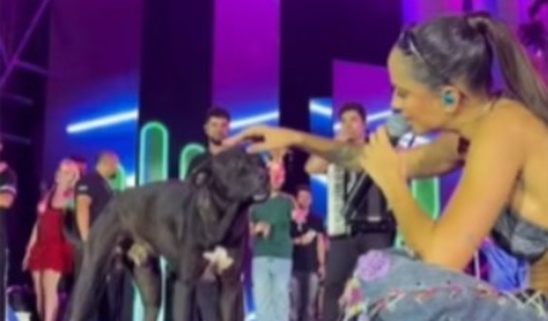 Cantora Michele Andrade adota cachorro que invadiu palco em show