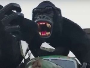 Menino que caiu de brinquedo do Beto Carrero se assustou com som emitido pelo ‘Gorila’